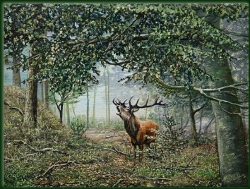 Dutch Wildlife Oil Paintings | Nico Bulder Wildlife Painter