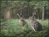 Hare talk