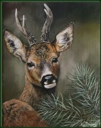 Dutch wildlife oil paintings