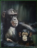Chimpansees