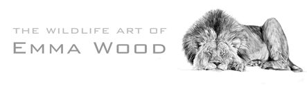 Emma Wood, wildlife artist - affordable original watercolours, oils ...