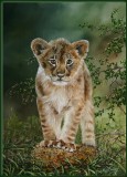 Lioncub