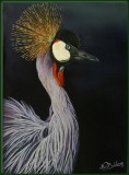 Crowned Crane