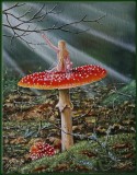 Elf on Fly Agaric