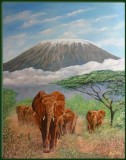 Elephant herd and Kilimanjaro